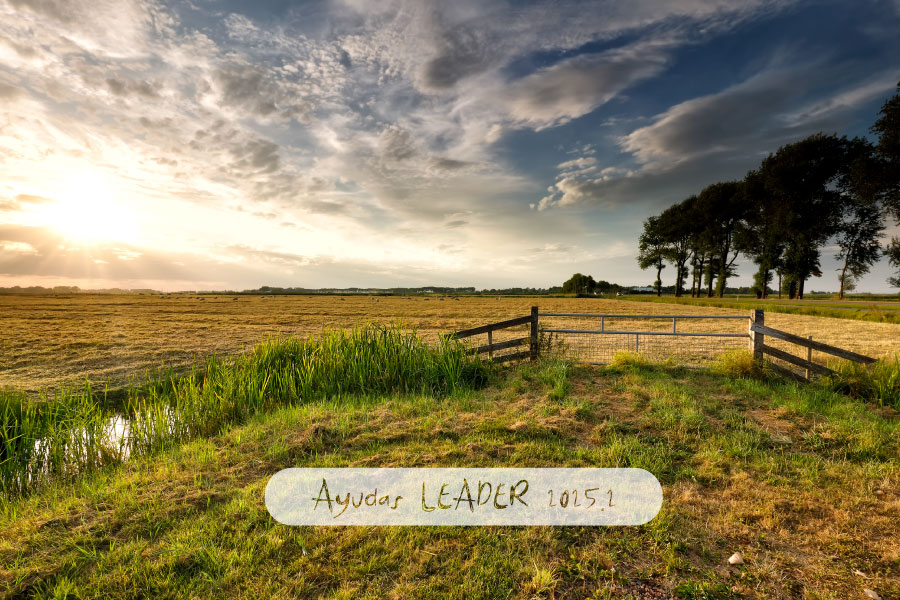 Ayudas LEADER 2025.2