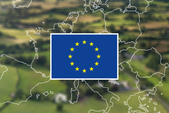 Ayudas LEADER 2025.2 Unión Europea